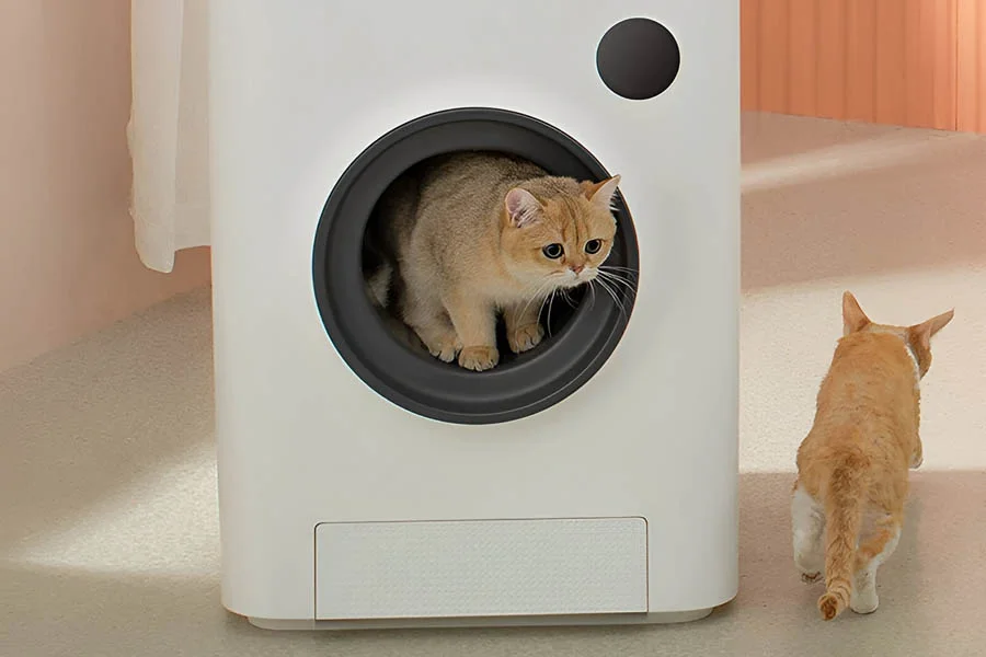 litter box for 2 cats